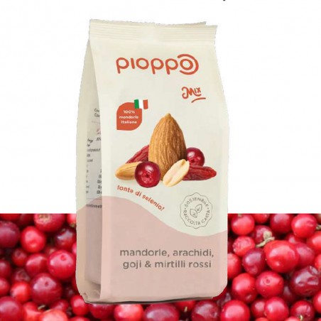 Mandorle, arachidi, goji, mirtilli - Mix - Pioppo (150g)