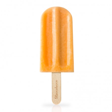 Melone - Gelato artigianale - Steccolecco (70g)