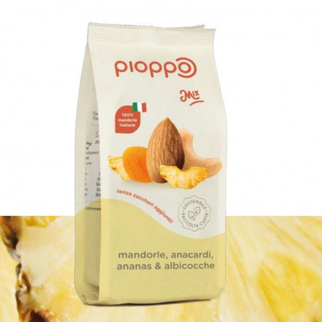 Mandorle, anacardi, ananas, albicocche - Mix - Pioppo (150g)