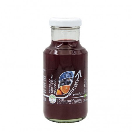 Mirtillo, ribes nero e arancia - Succo di frutta BIO - DiSanaPianta (200ml)