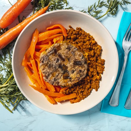 Hamburger vegano di melanzane, lenticchie alla curcuma e carote